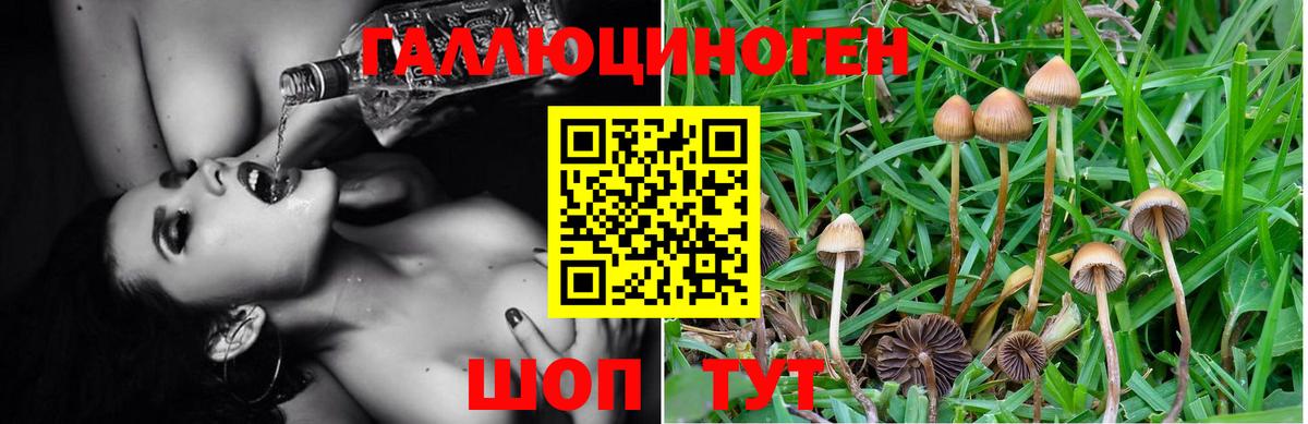 Калуга  Галлюциногенные грибы Cubensis  как найти закладки  Вход с VPN 